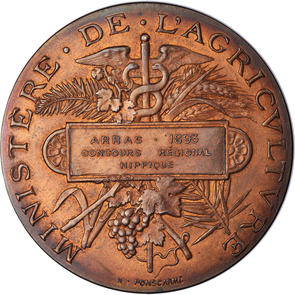 Francia, medaglia, Concours Régional Hippique, Arras, Agriculture, 1893