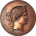 Frankreich, Medaille, Concours Régional Hippique, Arras, 1876, Barre, VZ+