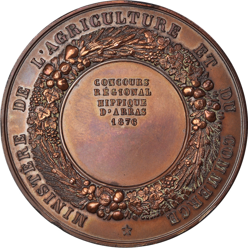Frankreich, Medaille, Concours Régional Hippique, Arras, 1876, Barre, VZ+