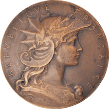 France, Medal, Prix Offert par le Préfet du Pas-de-Calais, Politics, Roty