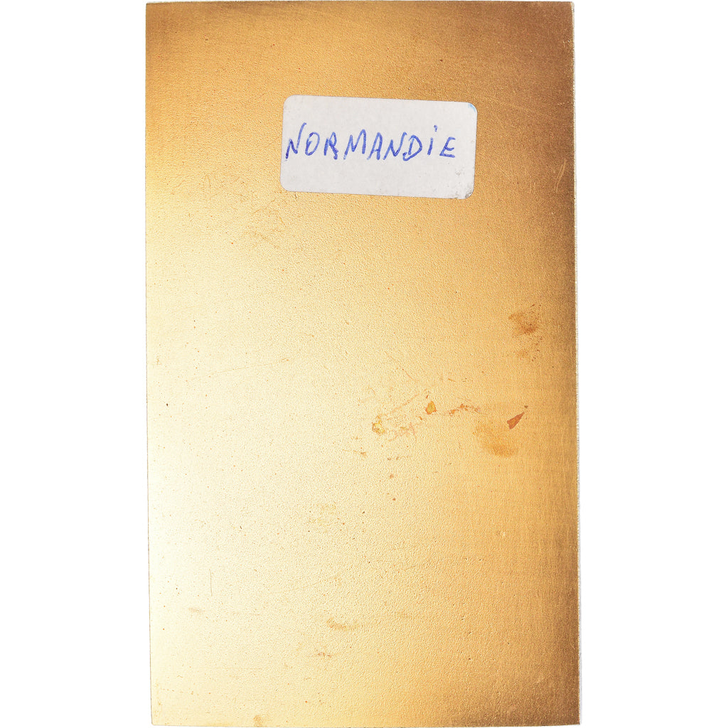 Francia, medaglia, La Normandie, Delamarre, SPL, Bronzo