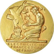 France, Médaille, Électricité de France et gaz de France, Dropsy, 35 Ans