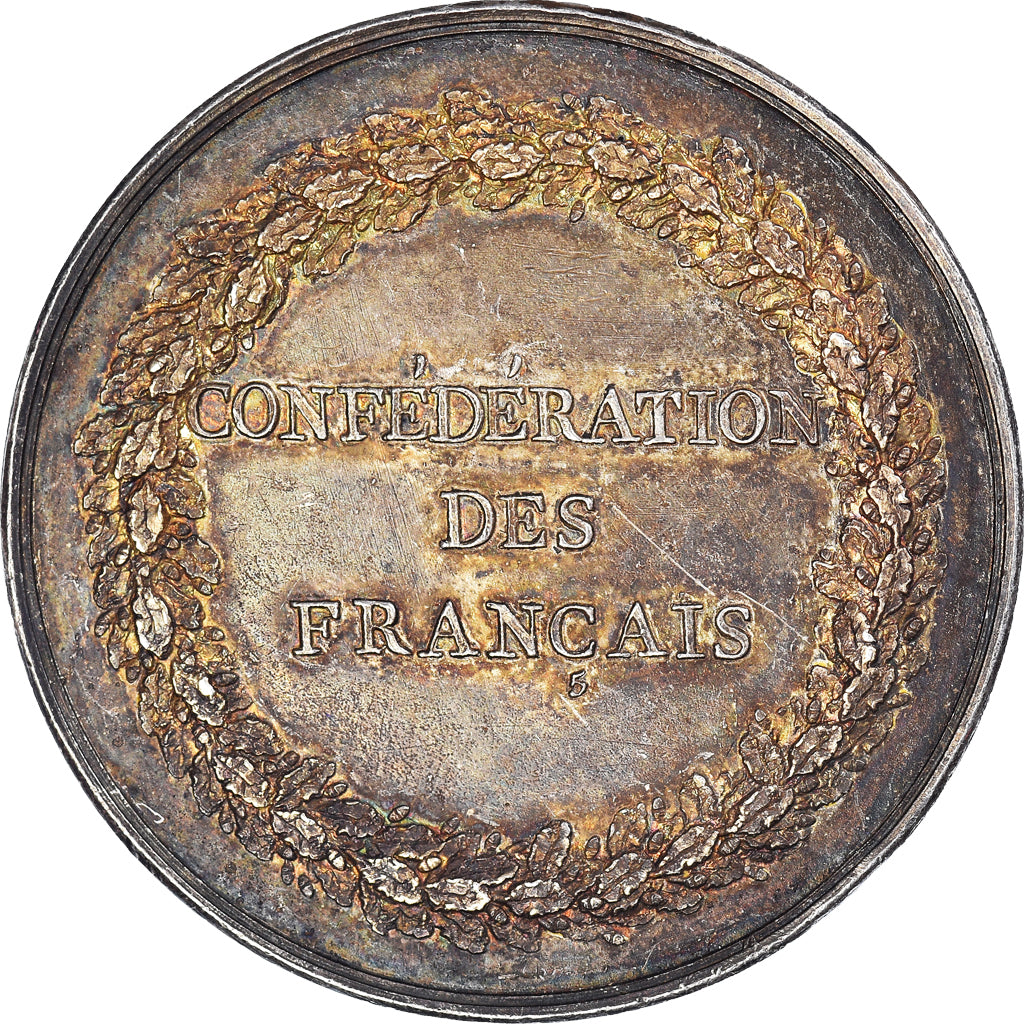 France, Medal, Confédération des Français, History, 1790, Constitution