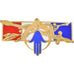 Frankrijk, Insigne, Troupes Françaises, Maintien de l'Ordre en Afrique du Nord