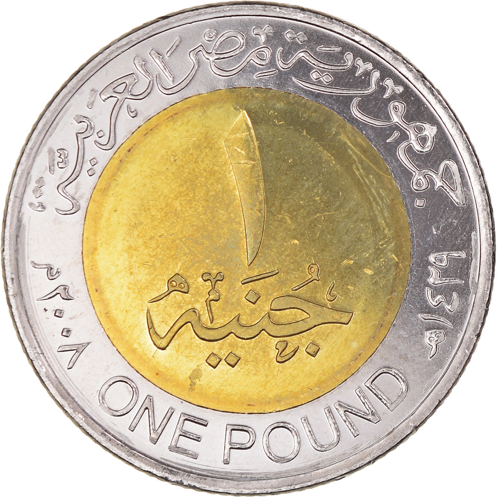 Moneta, Egitto, Pectoral plaque of Ramses II, Pound, 2008/AH1429, Colorized