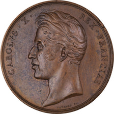 Frankrijk, Medaille, Charles X, Sacre à Reims, History, 1825, Gayrard, PR