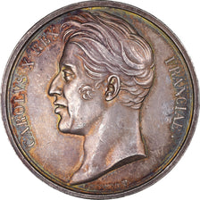 Francia, medalla, Royal, Charles X, Sacre à Reims, History, 1825, Gayrard