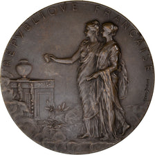 France, Medal, L'Assemblée Nationale élit Mr Emile Loubet Président