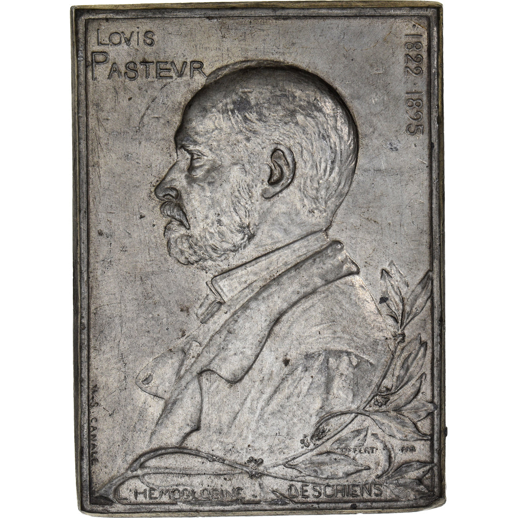France, Medal, Louis Pasteur, L'Hémoglobine, 1895, Canale, VF(30-35), Tin