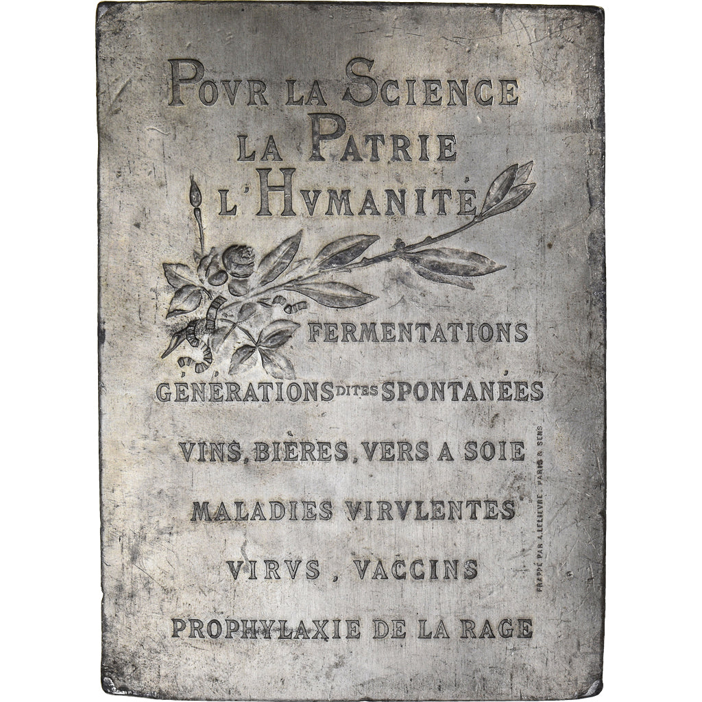 France, Medal, Louis Pasteur, L'Hémoglobine, 1895, Canale, VF(30-35), Tin