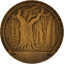 Francia, medalla, Société Française des Amis des Arbres, Eaux et Forêt