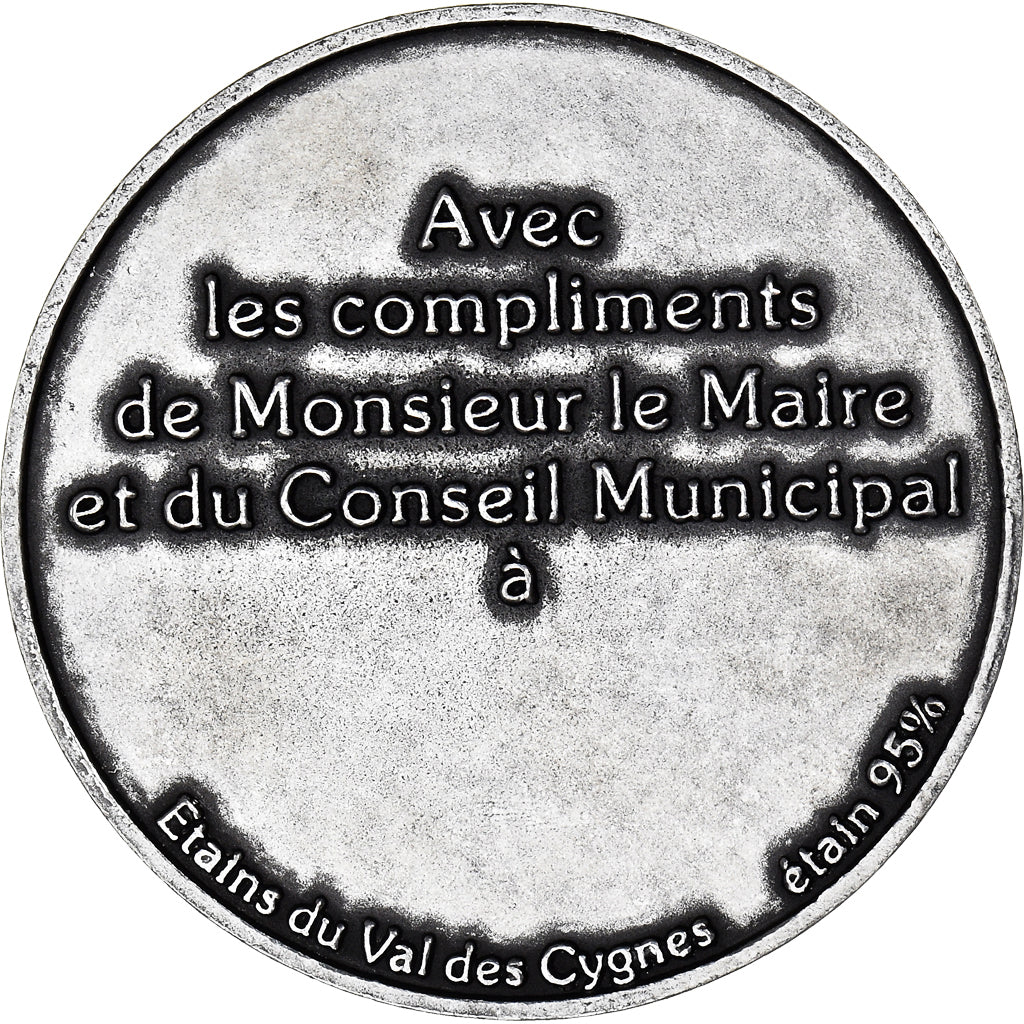 Francia, medaglia, Wallers Arenberg, Etains du val du Cygne, SPL-, Stagno