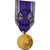 Francja, Services Bénévoles, Officier, medal, Doskonała jakość, Pokryty