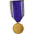 Francja, Services Bénévoles, Officier, medal, Doskonała jakość, Pokryty
