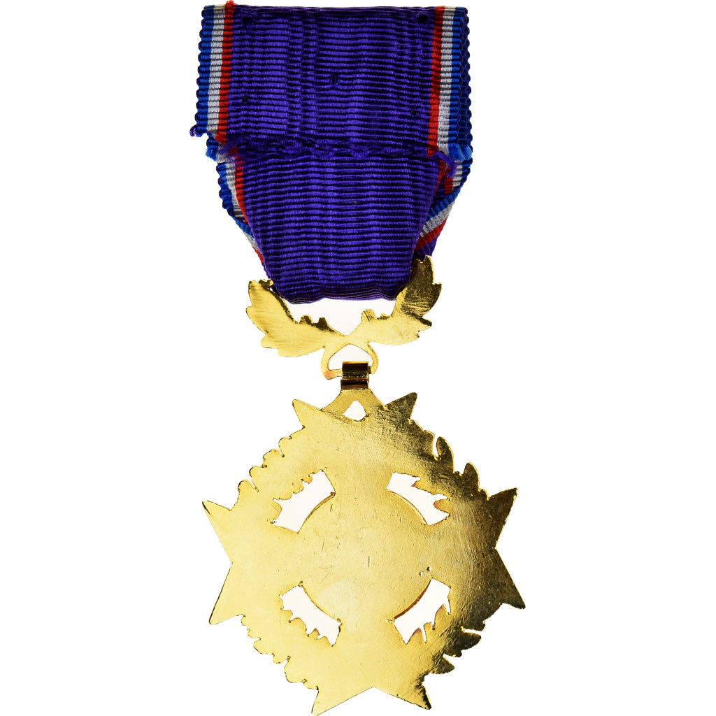 France, Académie du dévouement national, Medal, Emaillée, Excellent Quality