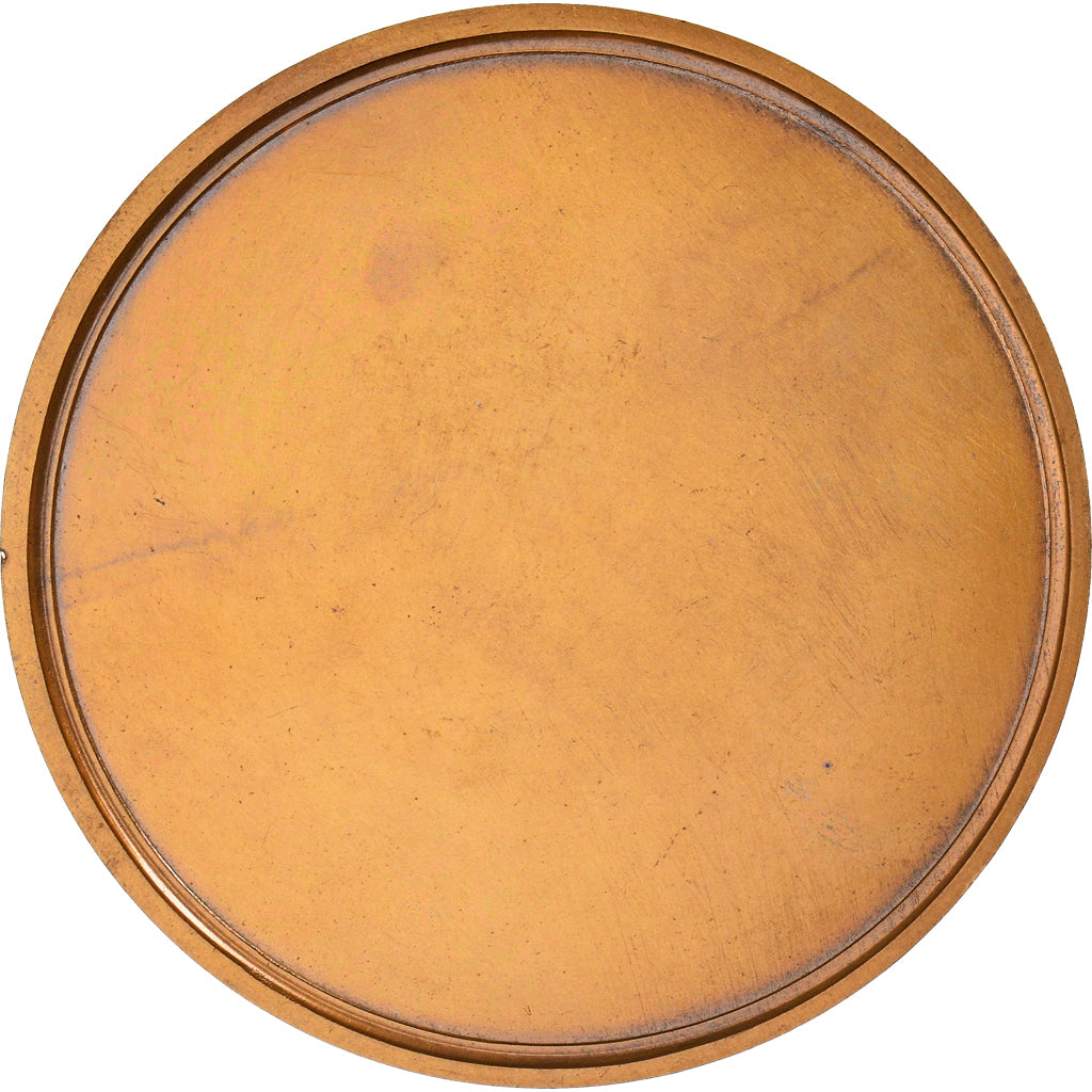 France, Médaille, Le Corbeau et le Renard, Animalière, Vernon, FDC, Bronze