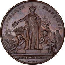 France, Medal, Exposition Agricole et Viticole à Sennecey-le-Grand