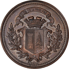 Francia, medaglia, Société d'Agriculture de la Tour du Pin, Isère, Desaide