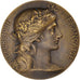 France, Médaille, Offert par Mr Gaumet, Député du Loiret, Politics, Dupuis.D