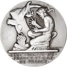 Francia, medalla, Électricité de France et gaz de France, Business & industry