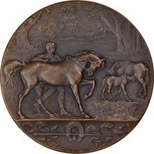 France, Médaille, Equitation, Concours Hippiques du Rhône, 1887, Degeorge