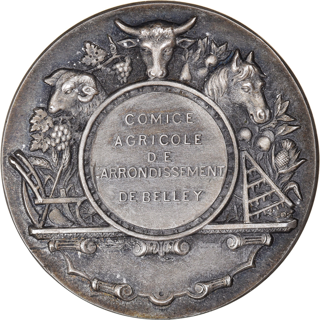 France, Medal, Comice Agricole de l'Arrondissement de Belley, MS(63), Silver