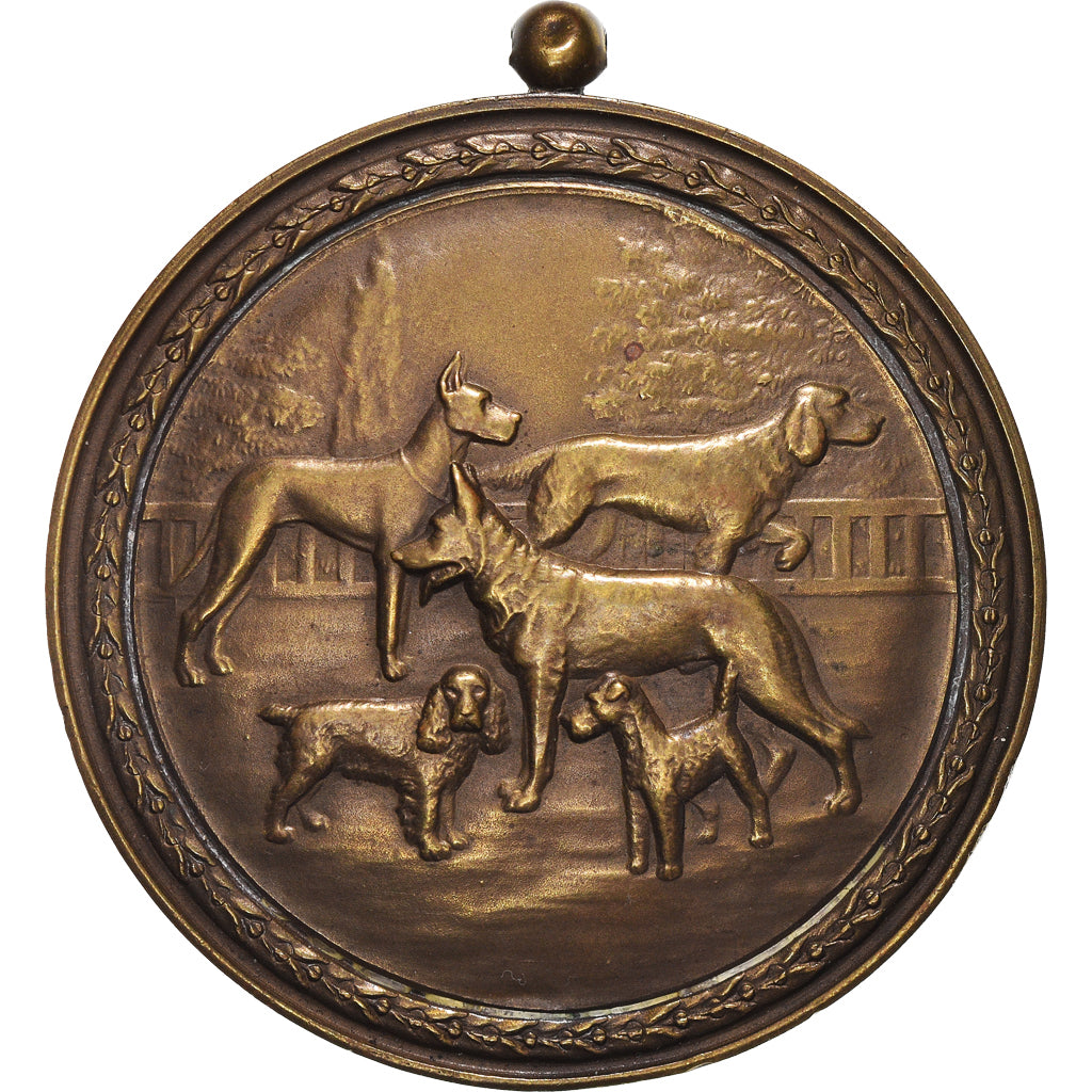 France, Medal, Fédération Cynologique de France, Chiens, MS(63), Bronze