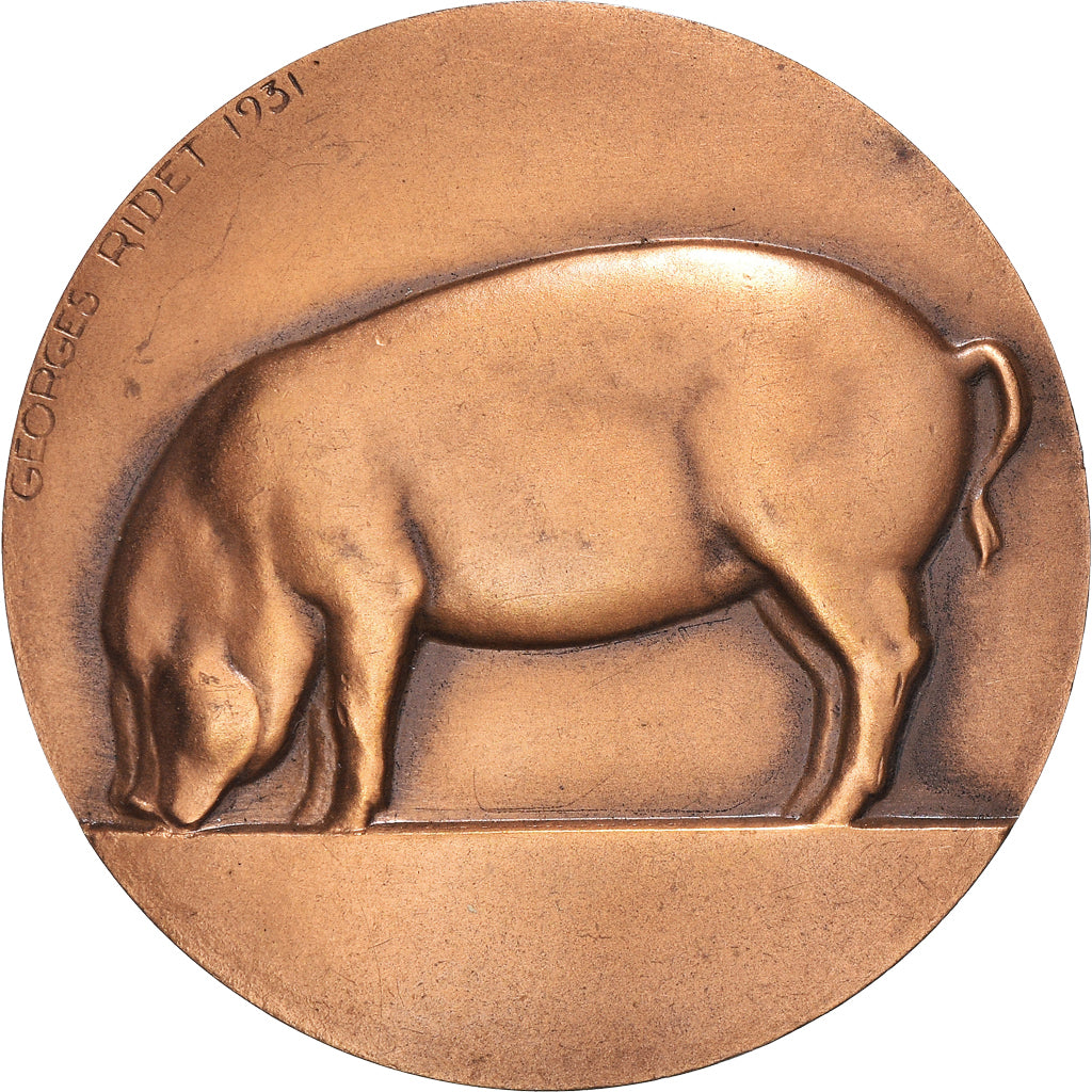 Frankrijk, Medaille, Offert par Jeannil Dumortier, Député, Cochon, 1931