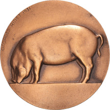 Frankrijk, Medaille, Offert par Jeannil Dumortier, Député, Cochon, 1931