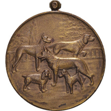 France, Médaille, Fédération Cynologique de France, Chiens, SUP, Bronze