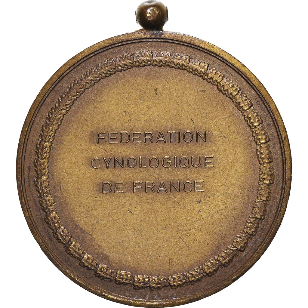 France, Médaille, Fédération Cynologique de France, Chiens, SUP, Bronze