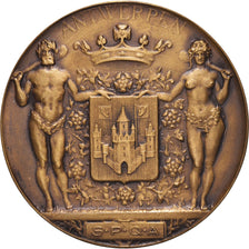 Belgia, medal, Antwerpen, S.P.Q.A, 1969, MS(60-62), Brązowy
