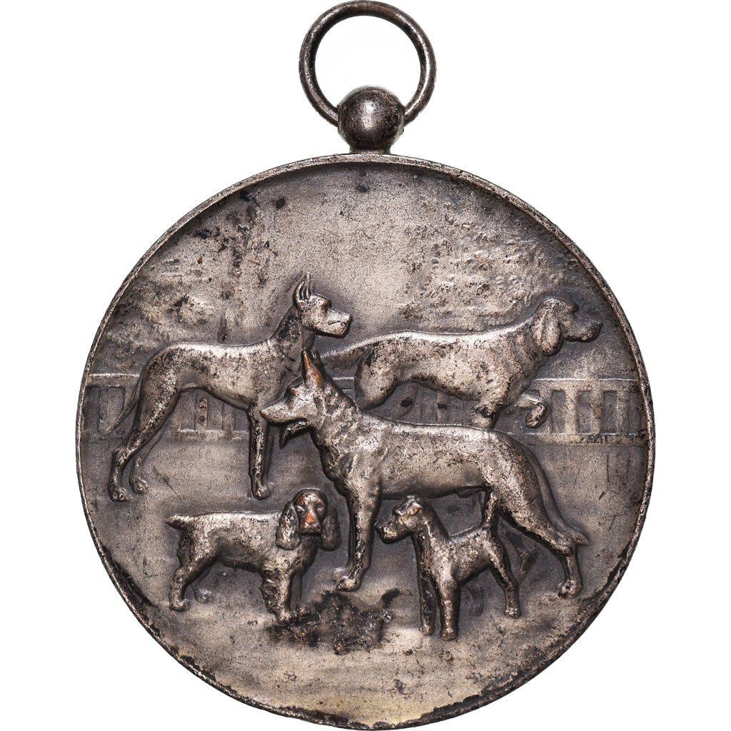 France, Médaille, Fédération Cynologique de France, Chiens, TTB, Bronze