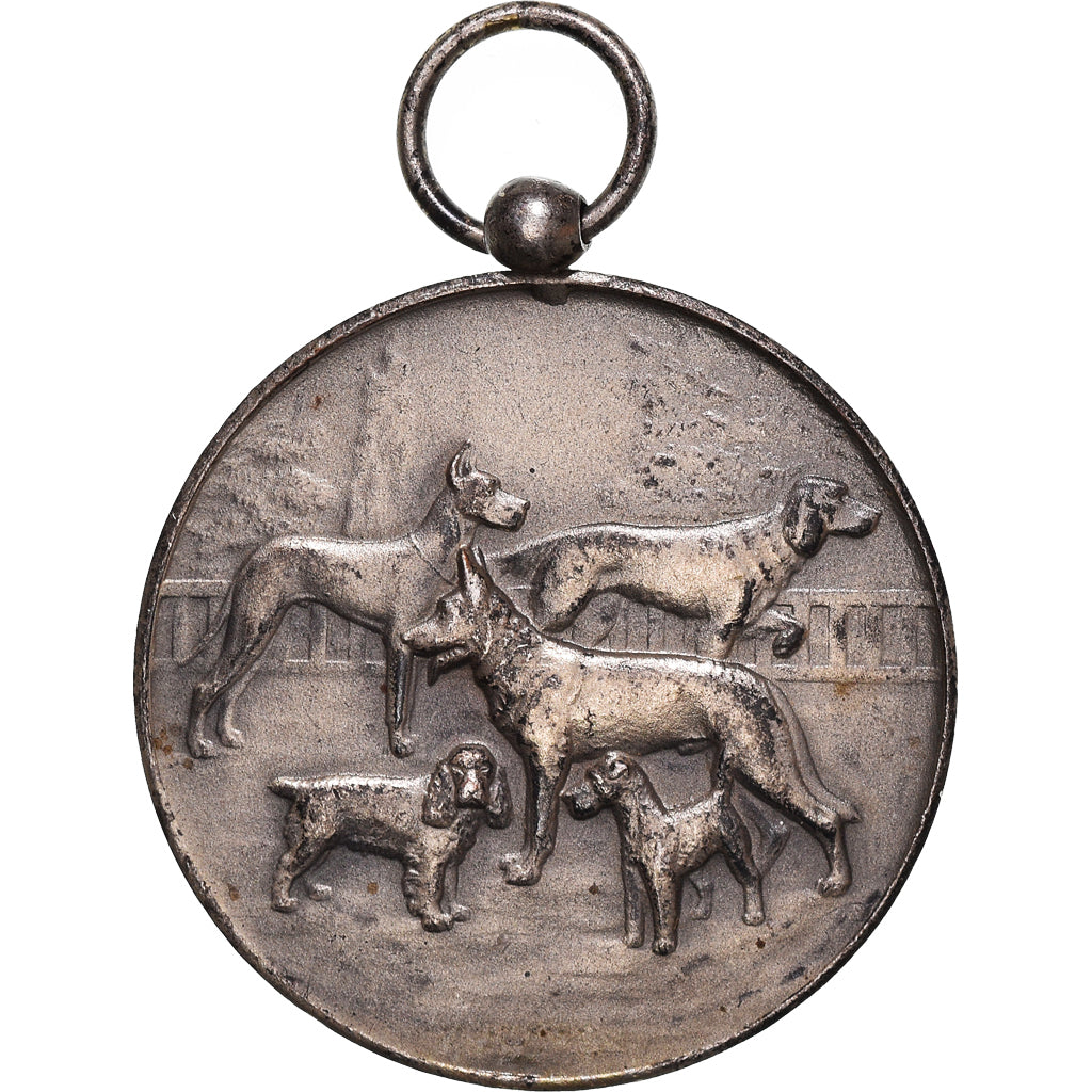 France, Medal, Fédération Cynologique de France, Chiens, AU(50-53), Silvered