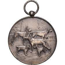 France, Medal, Fédération Cynologique de France, Chiens, AU(50-53), Silvered