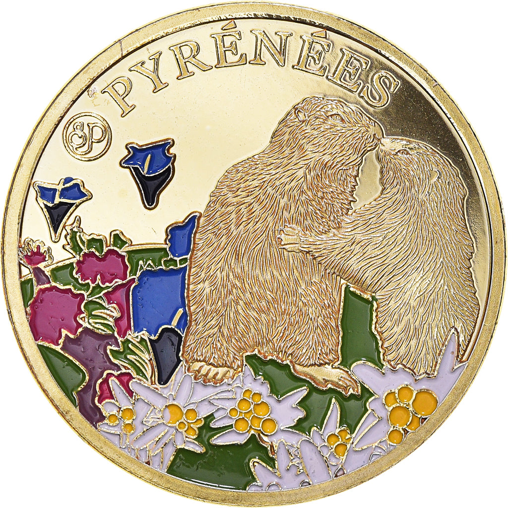 France, Token, Touristic token, Pyrénées, Cirque de Gavarnie, MS(65-70)