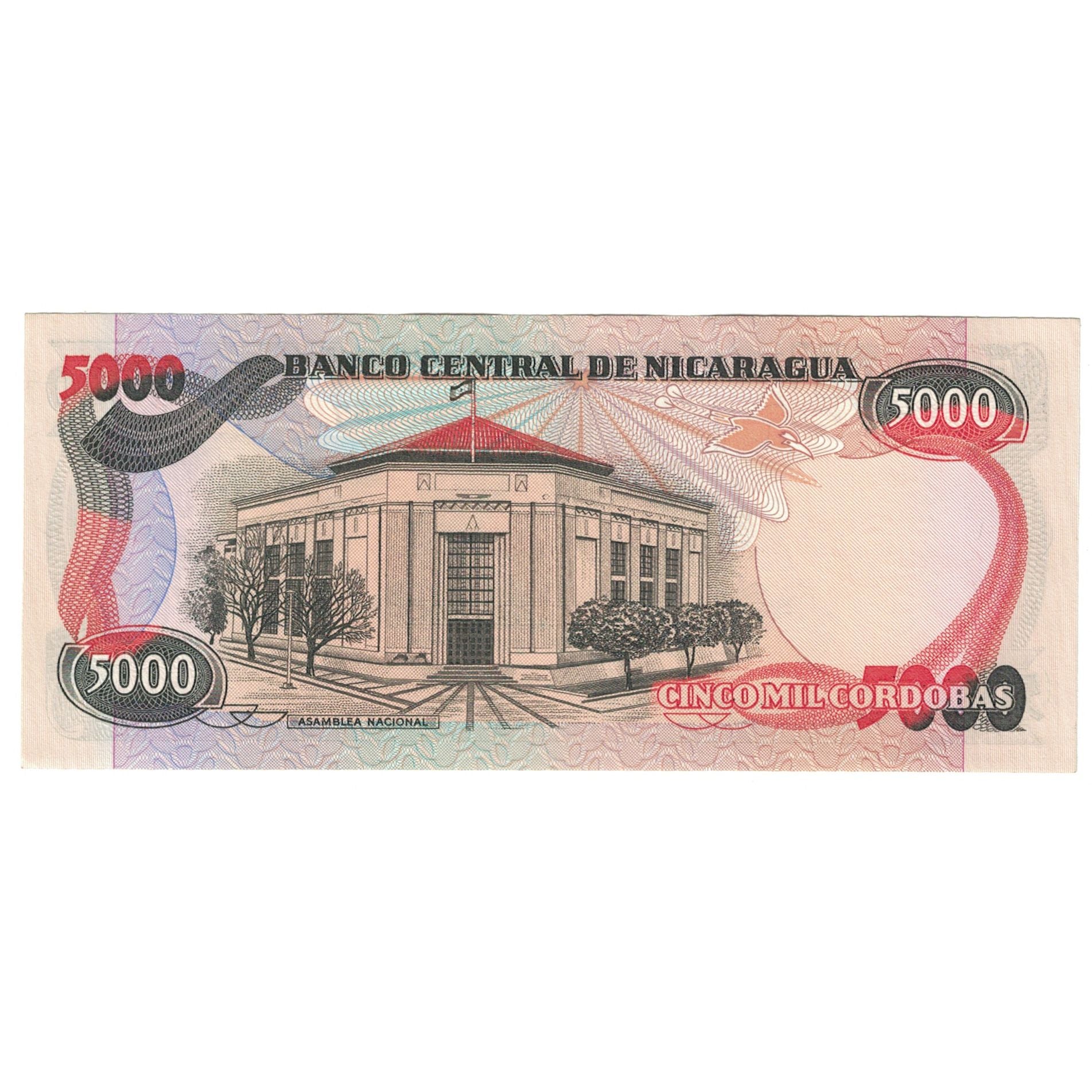 Banknote, Nicaragua, 5000 Cordobas, 1985, KM:146, UNC(65-70)