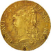 Coin, France, Louis XVI, Double louis d'or à la tête nue, 2 Louis D'or, 1786