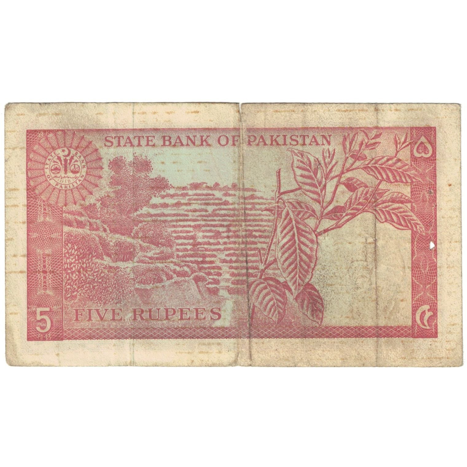 Geldschein, Pakistan, 5 Rupees, KM:20b, SGE