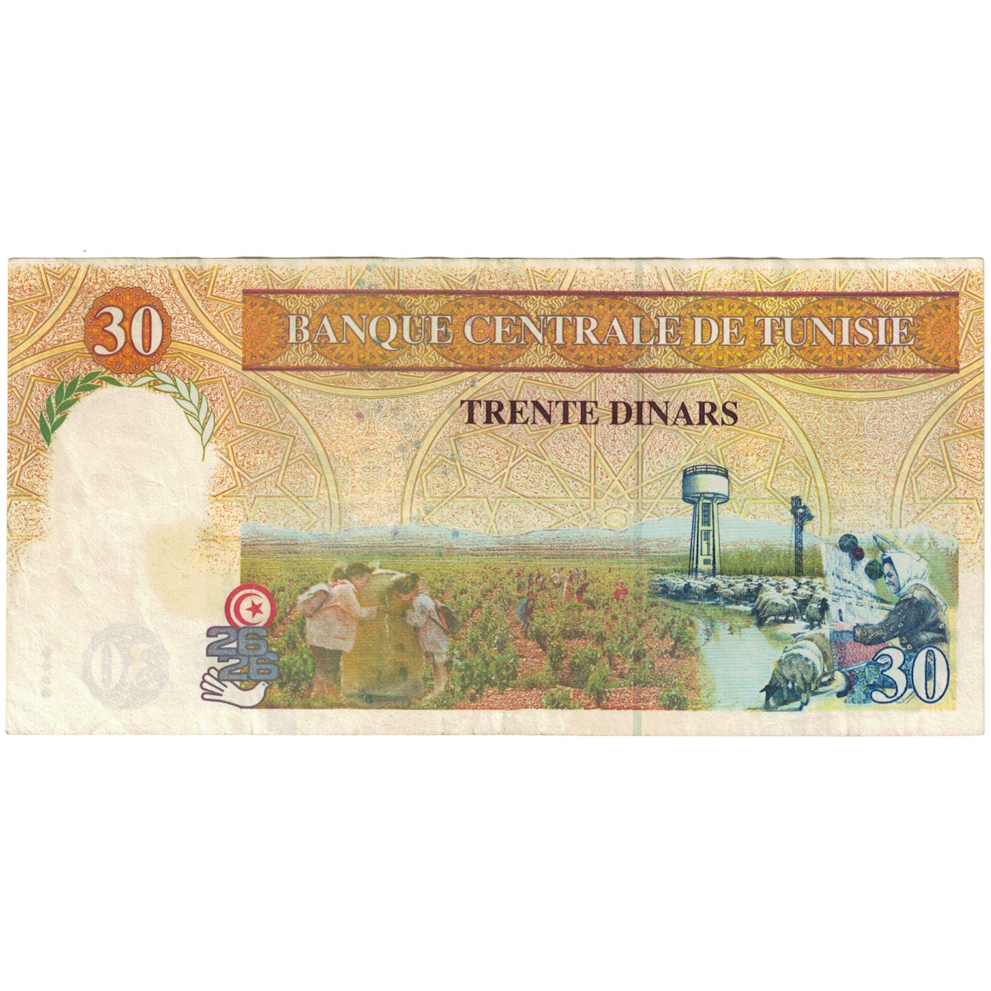 Banknote, Tunisia, 30 Dinars, 1992, 1992-11-07, KM:89, AU(55-58)