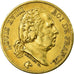 Monnaie, France, Louis XVIII, Louis XVIII, 40 Francs, 1818, Paris, TB+, Or