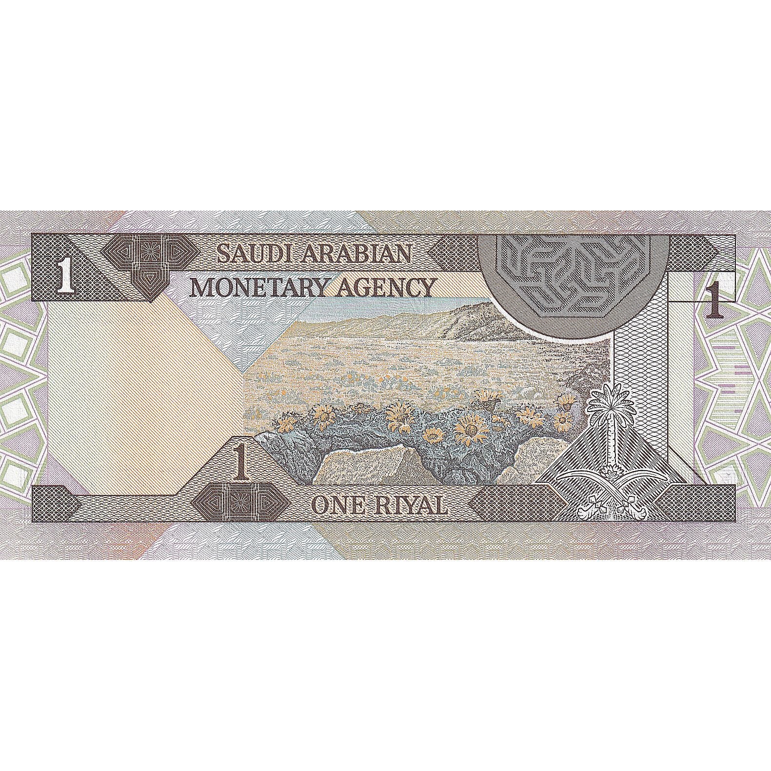 Saudi Arabia, 1 Riyal, 1984, KM:21b, UNC(65-70)