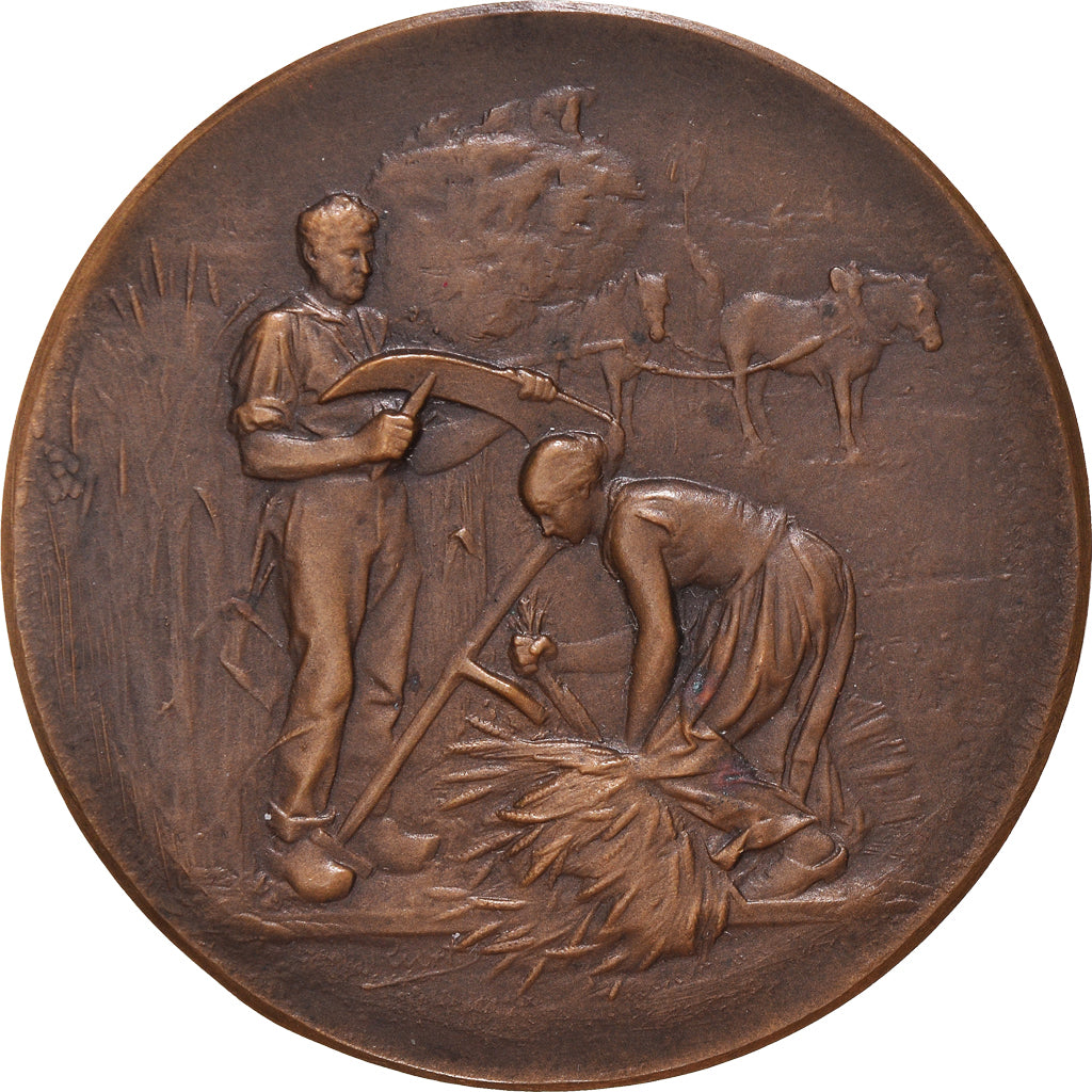 France, Medal, Comice Agricole de Bernay, Agriculture, Rivet, MS(63), Bronze