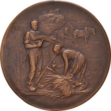 France, Medal, Comice Agricole de Bernay, Agriculture, Rivet, MS(63), Bronze