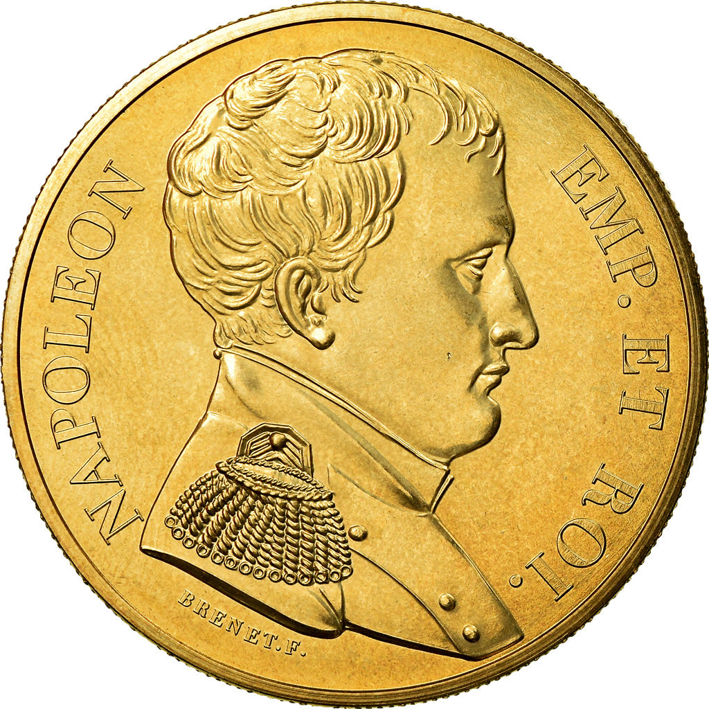 Francia, medaglia, Napoléon Empereur et Roi, History, Brenet, SPL+, Bronzo