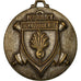 France, Médaille, Armée, Ecole d'Artillerie, TTB, Silvered bronze