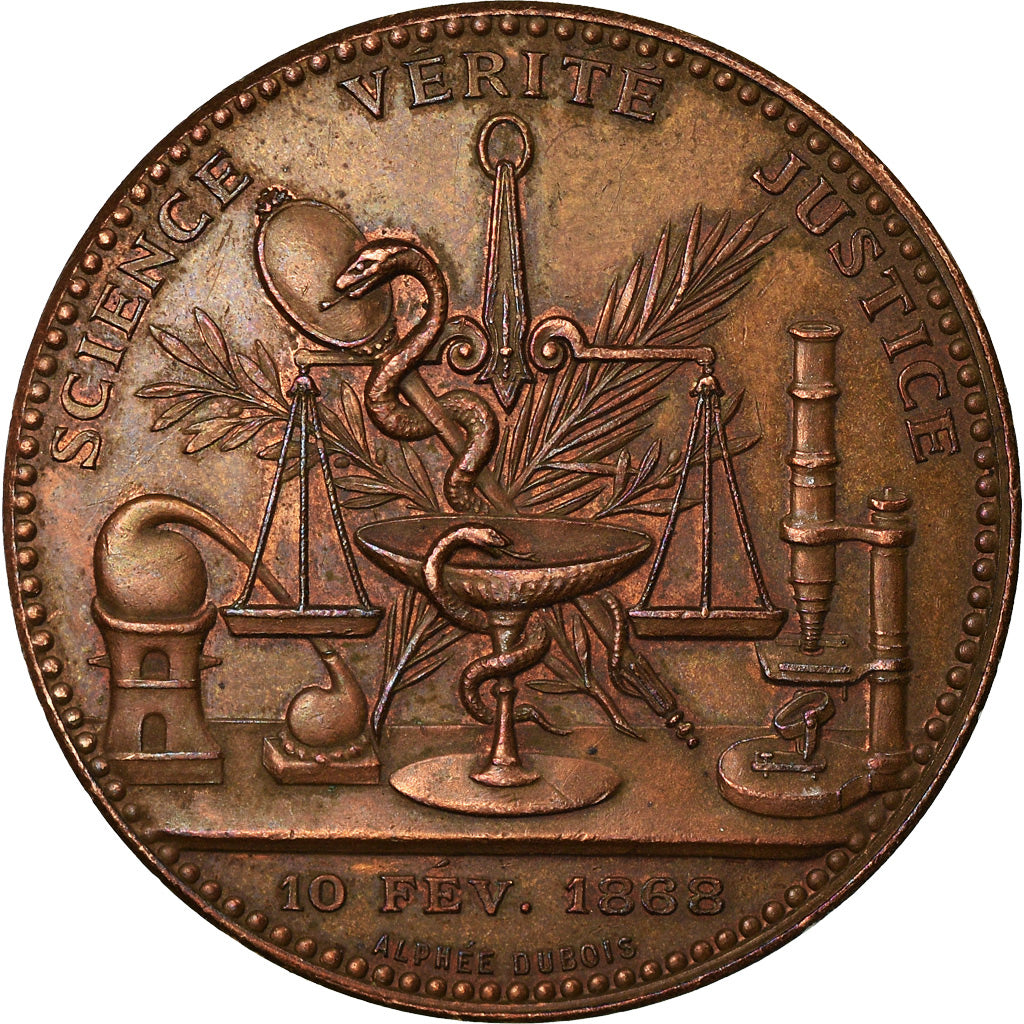 France, Médaille, Société de Médecine Légale de france, Medicine, Dubois.A