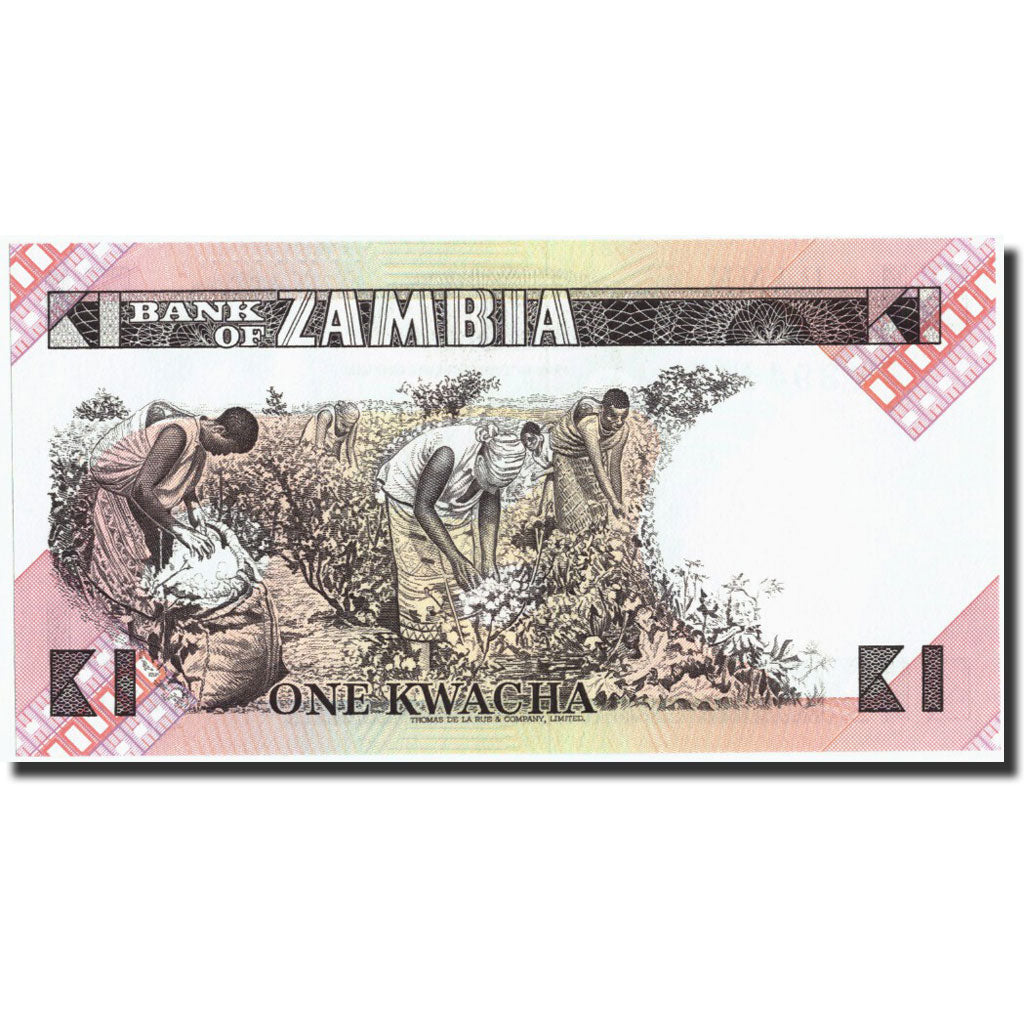 Billet, Zambie, 1 Kwacha, Undated (1980-88), Undated, KM:23b, NEUF