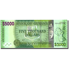 Banconote, Guyana, 5000 Dollars, Undated (2013), KM:40, Undated, SPL