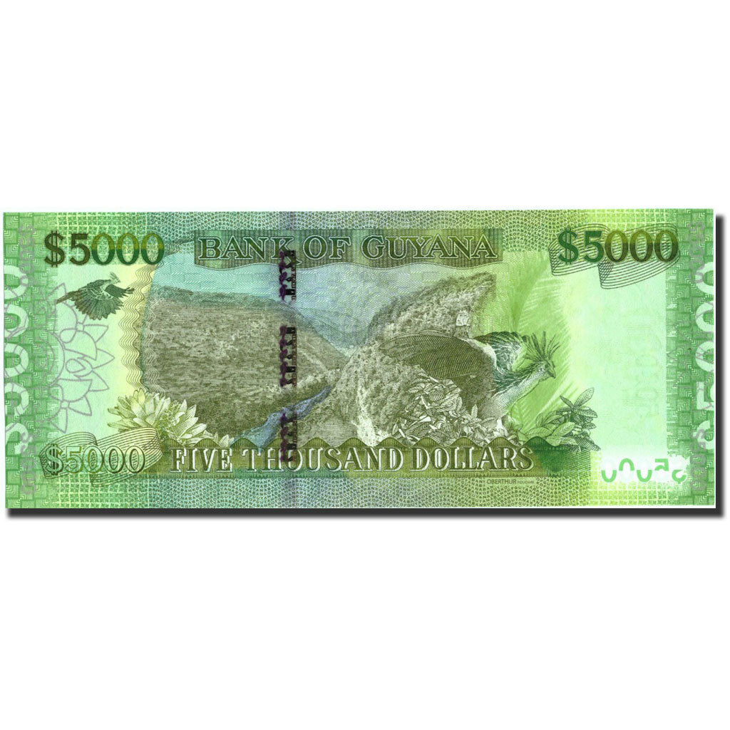 Banconote, Guyana, 5000 Dollars, Undated (2013), KM:40, Undated, SPL